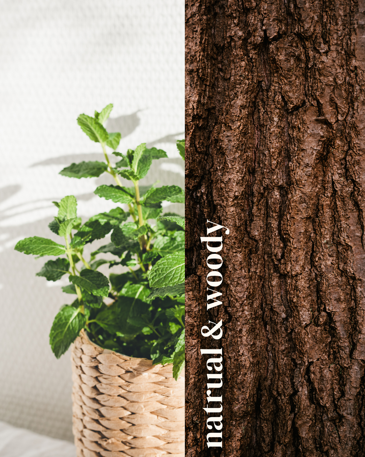 Natural & Woody